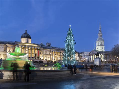 Trafalgar Square Christmas Tree 2024 Tickets - Holly Othella