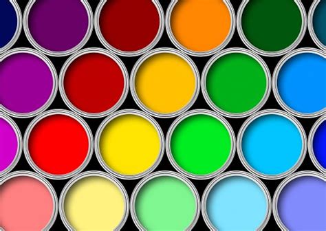 Understanding Different Types of Paint | Networx