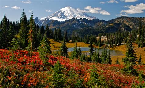 A Guide to Mount Rainier National Park | RVshare.com