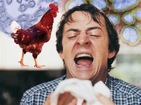 The Symptoms of Bird Flu - Protection against the Virus | www.Dr-oz.com ...