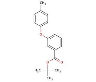 O Tolyl Benzoic Acid Tertiary Butyl Ester Scbt Santa Cruz