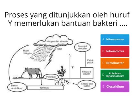 Asesmen Sumatif Daur Biogeokimia Quiz