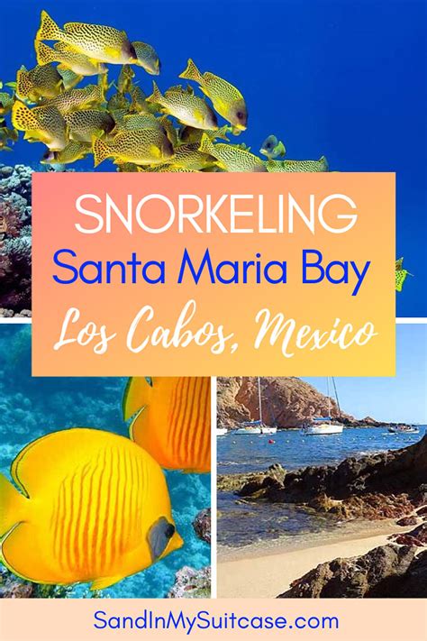 Snorkeling at Santa Maria Beach, Cabo – All You Need to Know | Sand In My Suitcase