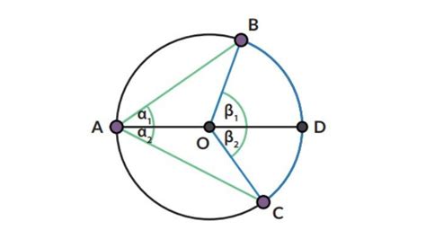 Kunci Jawaban Matematika Kelas 11 Halaman 55 56 57 Kurikulum Merdeka