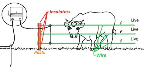 Electric Fence An Ultimate Guide