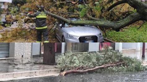 Maltempo Campania Alberi Caduti E Voragini Nel Casertano