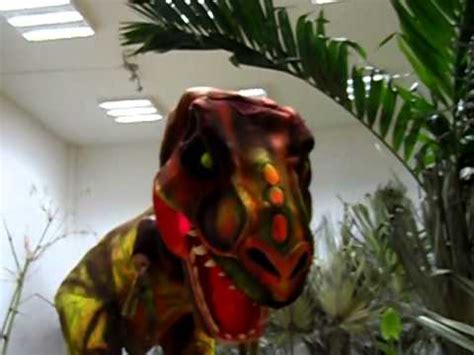 Dinosaurios En Canc N Youtube