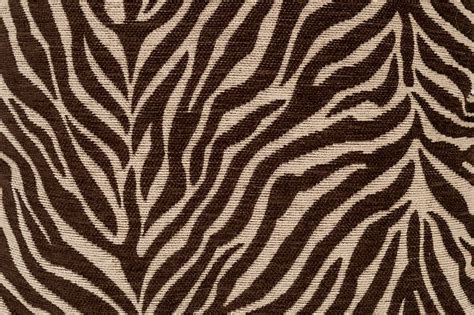 Brown Zebra Print Stock Photos, Pictures & Royalty-Free Images - iStock