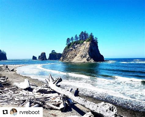 The Fog Burned Off And It S A Beautiful Day At Rialto Beach If Sea