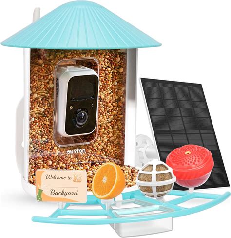 NETVUE Birdfy Pro Lite Vogelhaus Mit Kamera Vogelfutterstation Mit