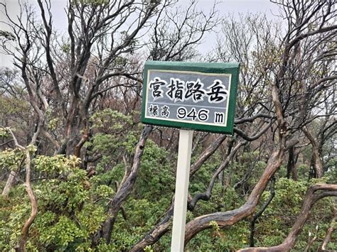 宮指路岳・入道ヶ岳 Tymさんの入道ヶ岳・鎌ヶ岳・仙ヶ岳の活動データ Yamap ヤマップ