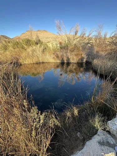 Best Hikes and Trails in Ash Meadows National Wildlife Refuge | AllTrails