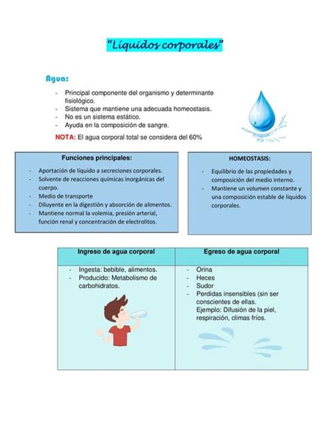 Líquidos corporales Nancy A3C uDocz