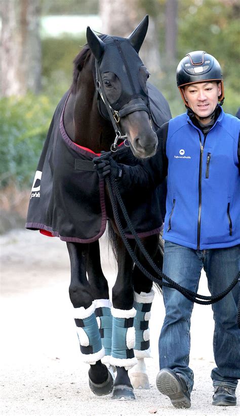 【有馬記念】大外枠シャフリヤールの藤原調教師が逃げ宣言「ハナに行くから絶好枠。相手に合わせずに」 Umatoku 馬トク