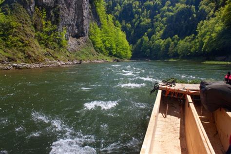 Najlepsze Atrakcje Dla Dzieci W Szczawnicy Zabawa Gwarantowana