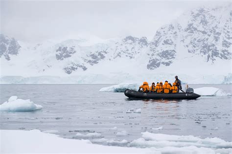 Why You Should Take a Cruise to Antarctica | Current by Seabourn