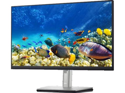 Dell P2422h 24 Fhd Ips Led Lcd Monitor