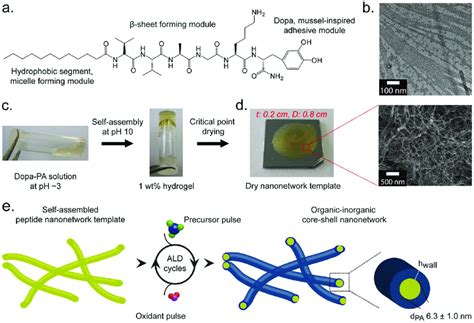 Strategy For Three Dimensional Nanofabrication Of Tio 2 And Zno