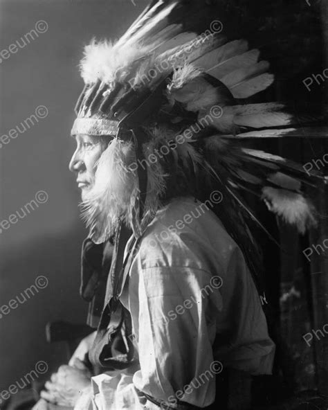 Whirlwind Horse Indian Chief 1900 Vintage 8x10 Reprint Of Old Photo