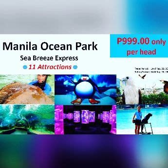 11 Attractions - Manila Ocean Park [ Tickets & Booking ] Makati ...