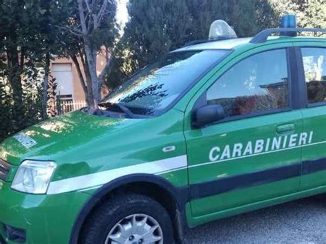 Bagnoli Irpino AV Controlli Dei Carabinieri Alla 40esima Sagra Della