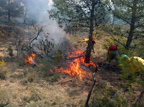 Calcinadas Hect Reas De Monte Bajo Y Pinar En El Incendio De La