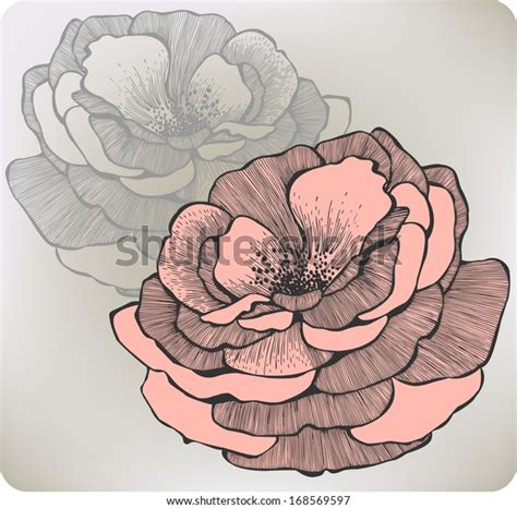 Wild Rose Flower Handdrawing Vector Illustration Stock Vector Royalty