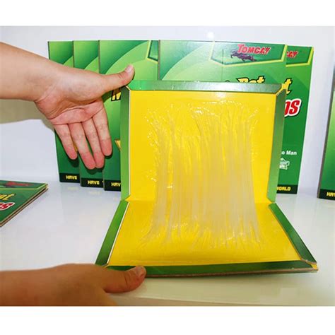 Aliexpress.com : Buy Mouse Rat Mice Sticky Traps Board Trapper Glue Catcher Non toxic For ...