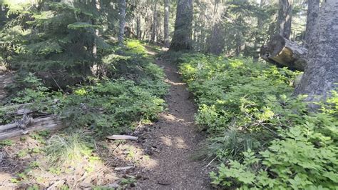 Hiking Up Crescent Mountain Trail Willamette National Forest