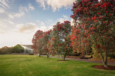 Gardens to visit - Auckland Botanic Gardens