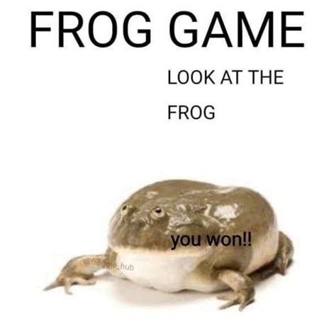 Frog Pictures Funny Pictures Animal Memes Funny Animals Frog Games