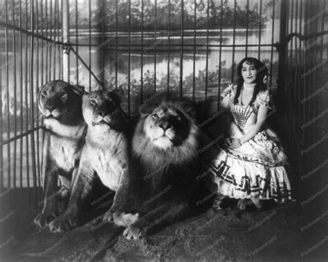 Victorian Lady In Cage With Lions Vintage 8x10 Reprint Of Photo Victorian Lady In Cage With