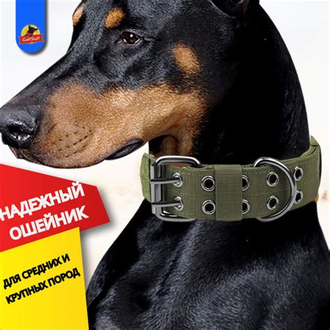 Ошейник для крупных собак и щенков больших и средних пород, широкий ...