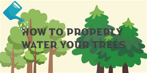 How To Properly Water Your Trees Yard Guard Lawn And Tree Care