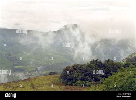 Eravikulam National Park Mist Wafts Over Austere Beauty Of Grasslands