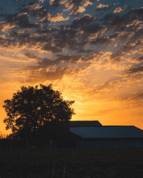 Free picture: sunrise, beautiful, dramatic, farm, silhouette, farmhouse ...