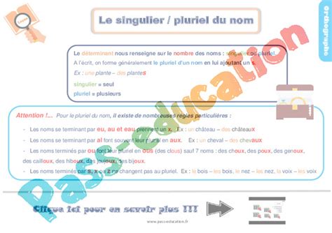 Le Singulier Pluriel Du Nom Cours Le On Trace Crite Eme