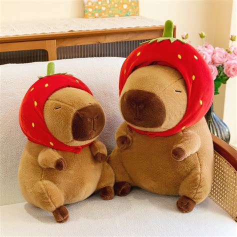 Capybara Chu T Lang N C G U B Ng Chu T Capybara Si U M M Th Nh I B Ng