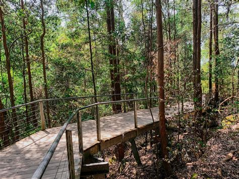 Scenic World Walkway