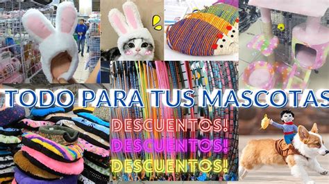 Tienda De Mascotas En CDMX Precios Mayoreo Celtok Izazaga 89