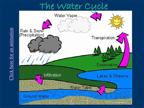 Top 137 + Water cycle animation ppt - Lifewithvernonhoward.com