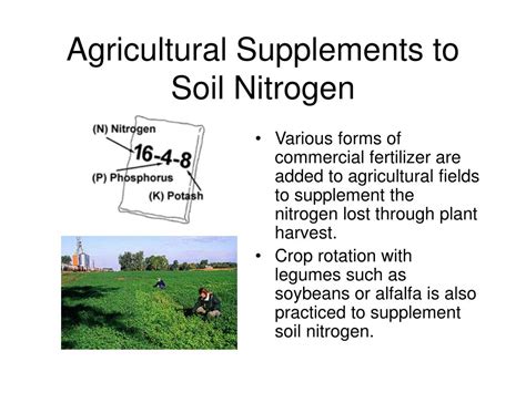 Ppt Nutrient Cycles Powerpoint Presentation Free Download Id 217294