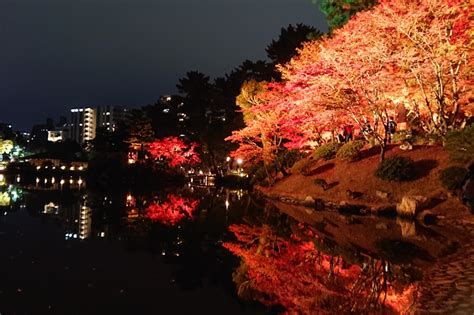 縮景園 紅葉ライトアップ