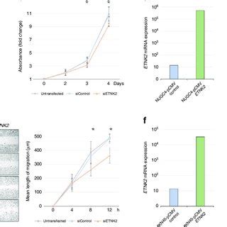 ETNK2 Knockdown And Overexpression Influence The Proliferation And