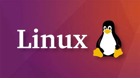 Como Instalar Programas En Linux Guia Paso A Paso