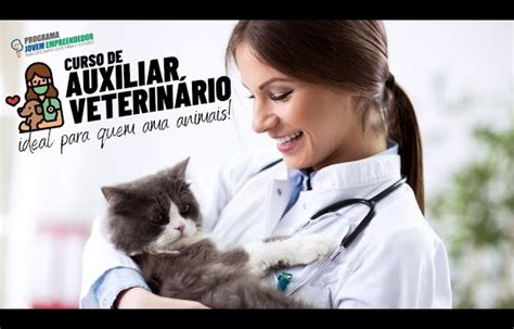 Curso De Auxiliar De Veterinário Online Com Certificado Sebrae Respostas