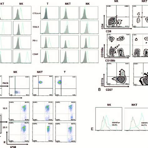 Phenotype And Cytotoxicity Of The Expanded Nkt Like Cells A B The Download Scientific