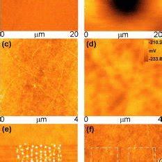 Color Online In Situ AFM Topography And SKFM Images Of The Area