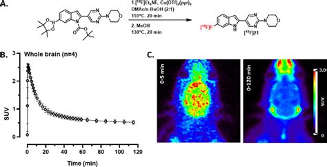 In Silico Discovery And Subsequent Characterization Of Potent 4r Tauopathy Positron Emission