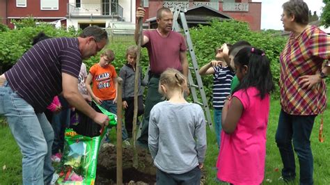 Paul Dohrmann Schule Pflanzen Eines Walnussbaumes Youtube